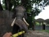 zoo-004