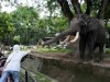 zoo-005