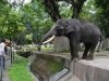 zoo-006