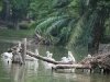 zoo-007