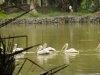 zoo-010