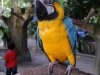 zoo-013