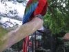 zoo-014