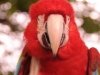 zoo-015
