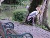 zoo-017