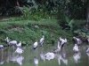 zoo-018