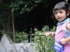 zoo-031