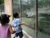 zoo-033