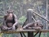 zoo-039