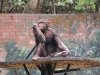zoo-040