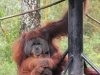 zoo-041