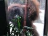 zoo-044