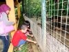 langkawi37