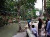 Kingfisher Campsite