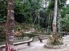 Kingfisher Campsite