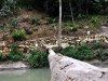 Kingfisher Campsite
