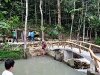 Kingfisher Campsite