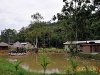 Kingfisher Campsite