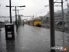 holand-028