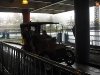 genting-20