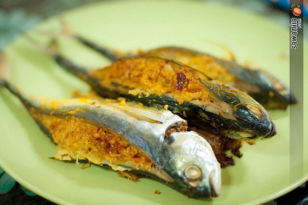 Ikan Cencaru Sumbat | Sawanila.com
