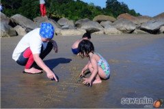 cherating12