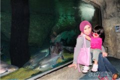 langkawi51