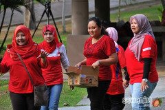 redmummy-pl-168