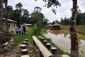 2009-01 - Kingfisher Campsite