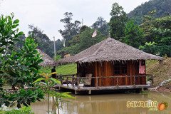 Kingfisher Campsite