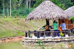 Kingfisher Campsite