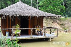 Kingfisher Campsite