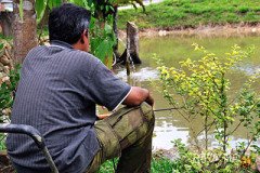 Kingfisher Campsite