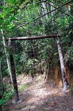 Kingfisher Campsite
