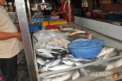 melaka-53