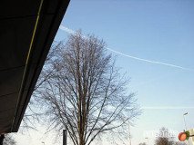 holand-052