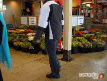 holand-058