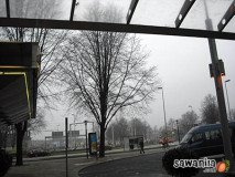 holand-061