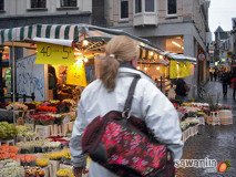 holand-070