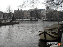 holand-111