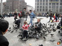 holand-140