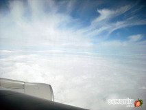 holand-157