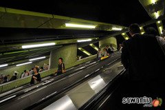 hkdisneyland-trip-059