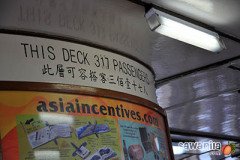 hkdisneyland-trip-099