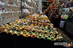 hkdisneyland-trip-174