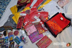 hkdisneyland-trip-195