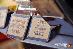 hkdisneyland-trip-288