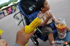 hkdisneyland-trip-292