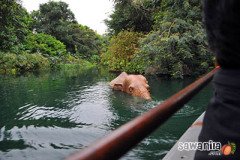 hkdisneyland-trip-403