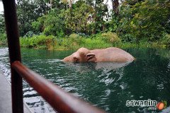 hkdisneyland-trip-404